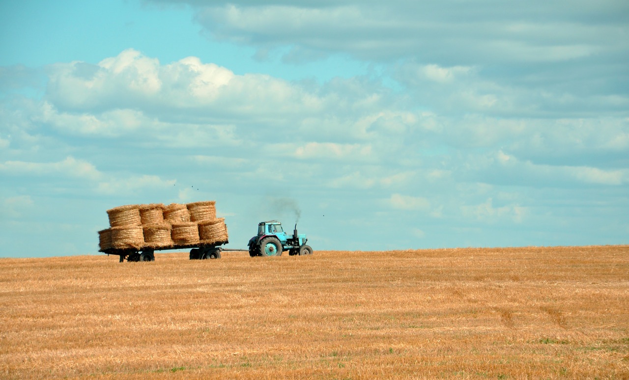 Agricultural insolvency down