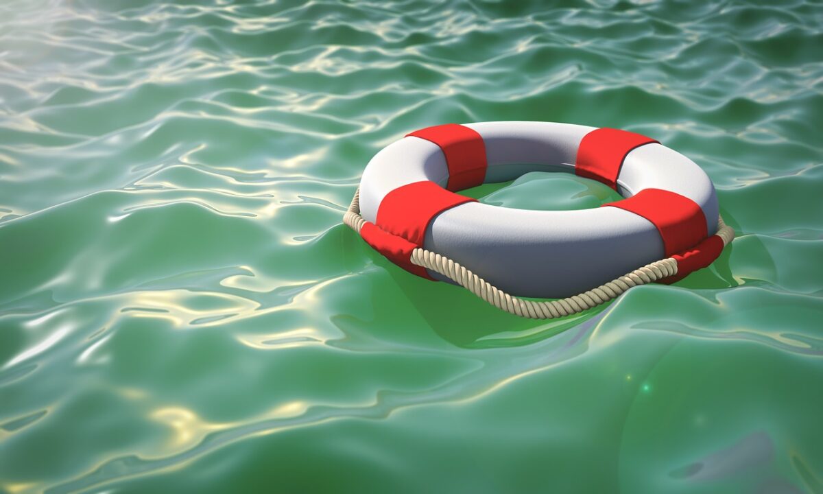 Business rescue investment
